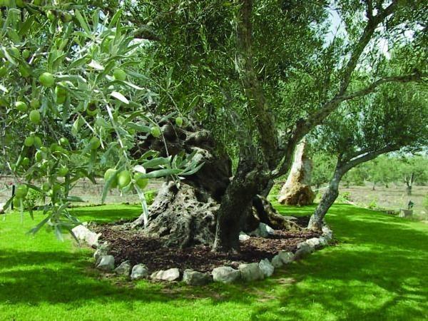 Вилла Quinta Dos Tesouros Сан-Браш-ди-Алпортел Экстерьер фото