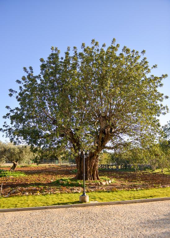 Вилла Quinta Dos Tesouros Сан-Браш-ди-Алпортел Экстерьер фото